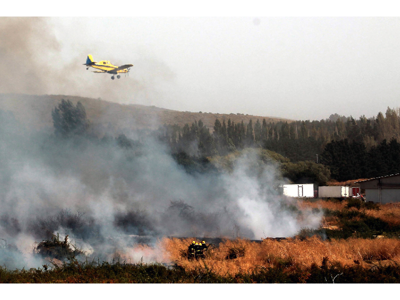 Bariloche: Organismos del Estado diseñarán estrategias para prevenir incendios forestales