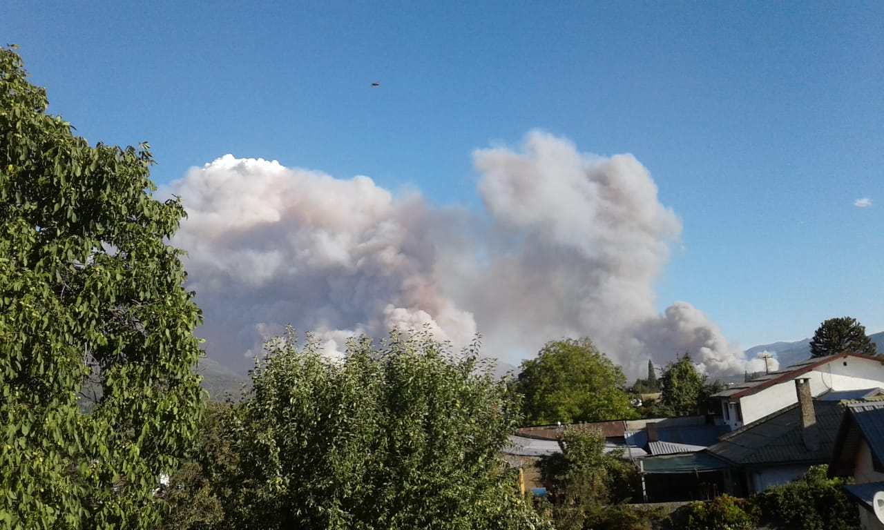 Bariloche: Organismos del Estado diseñan estrategias para prevenir incendios forestales