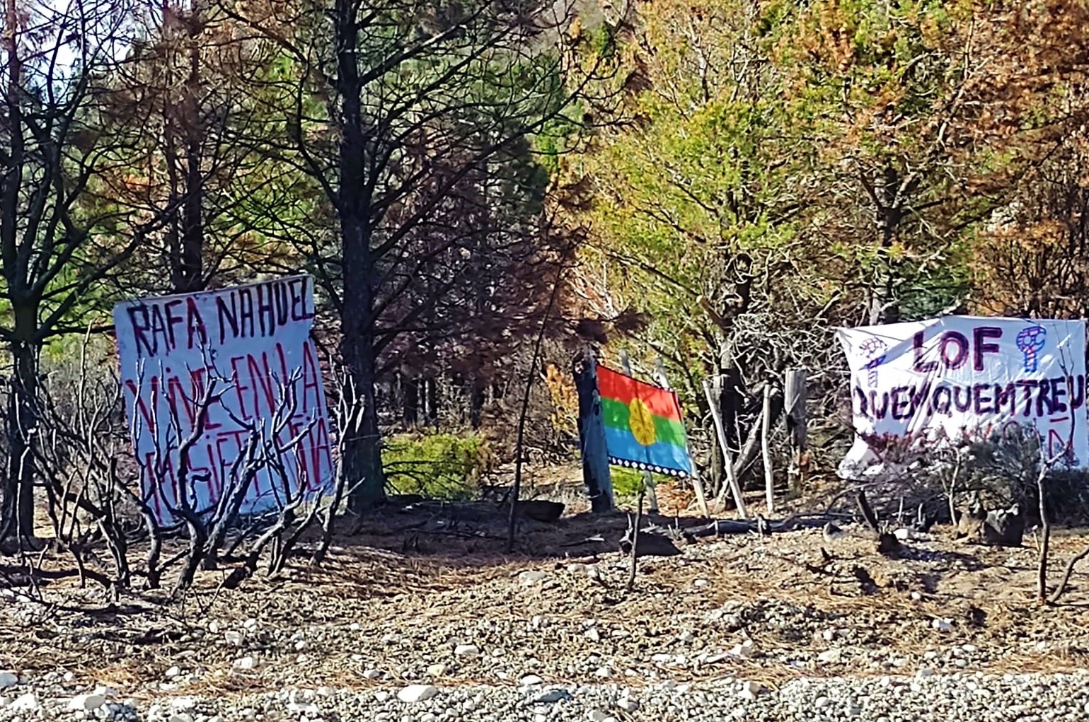 El Bolsón: Comunidad mapuche Lof Quemquemtreu ocupó tierras en cuesta del ternero