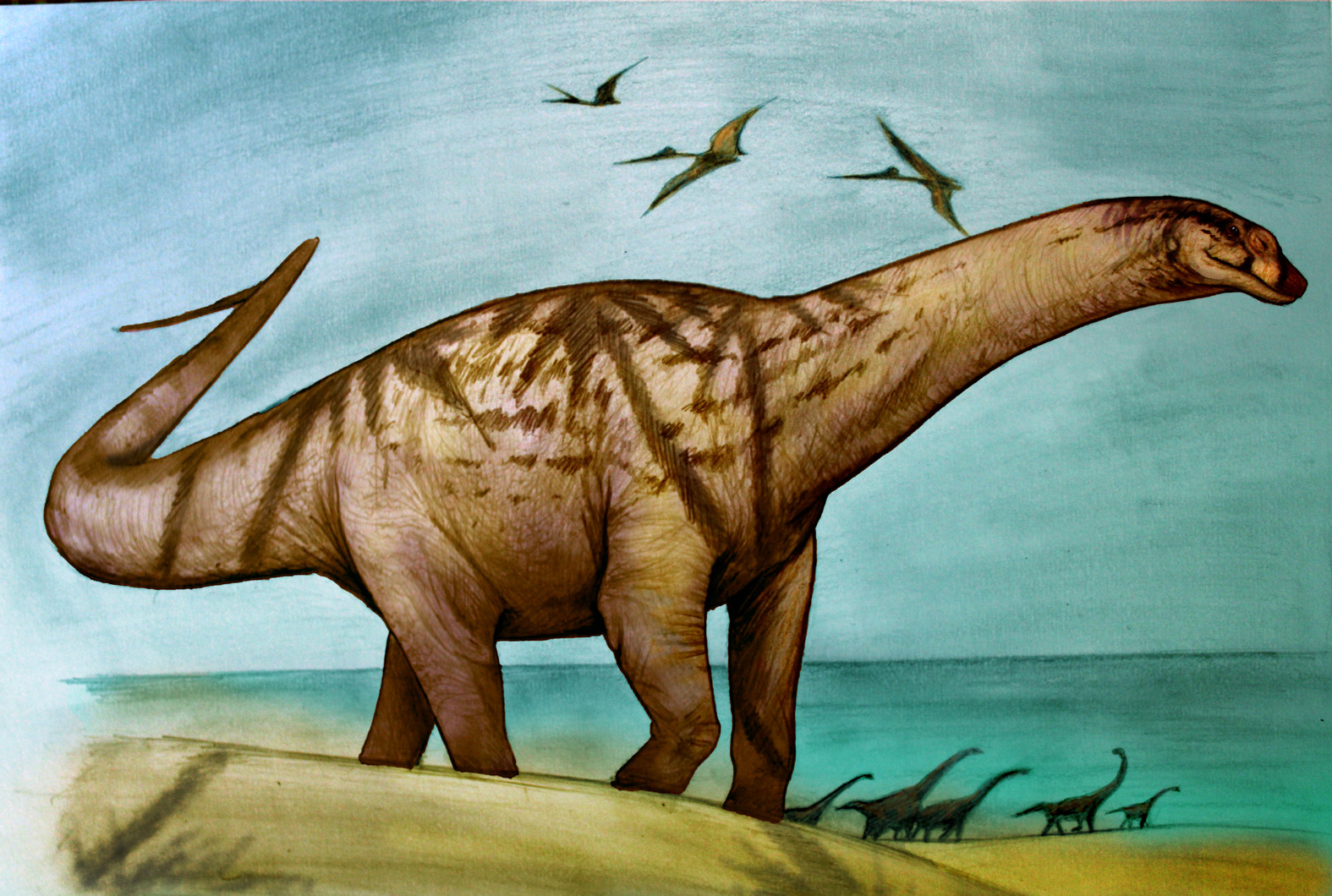 Río Negro: Descubren restos de dinosaurios de más de 70 millones de años