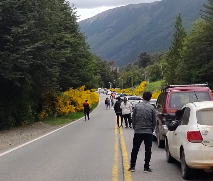 Bariloche: Mapuches cortan la ruta 40 a la altura de Villa Mascardi