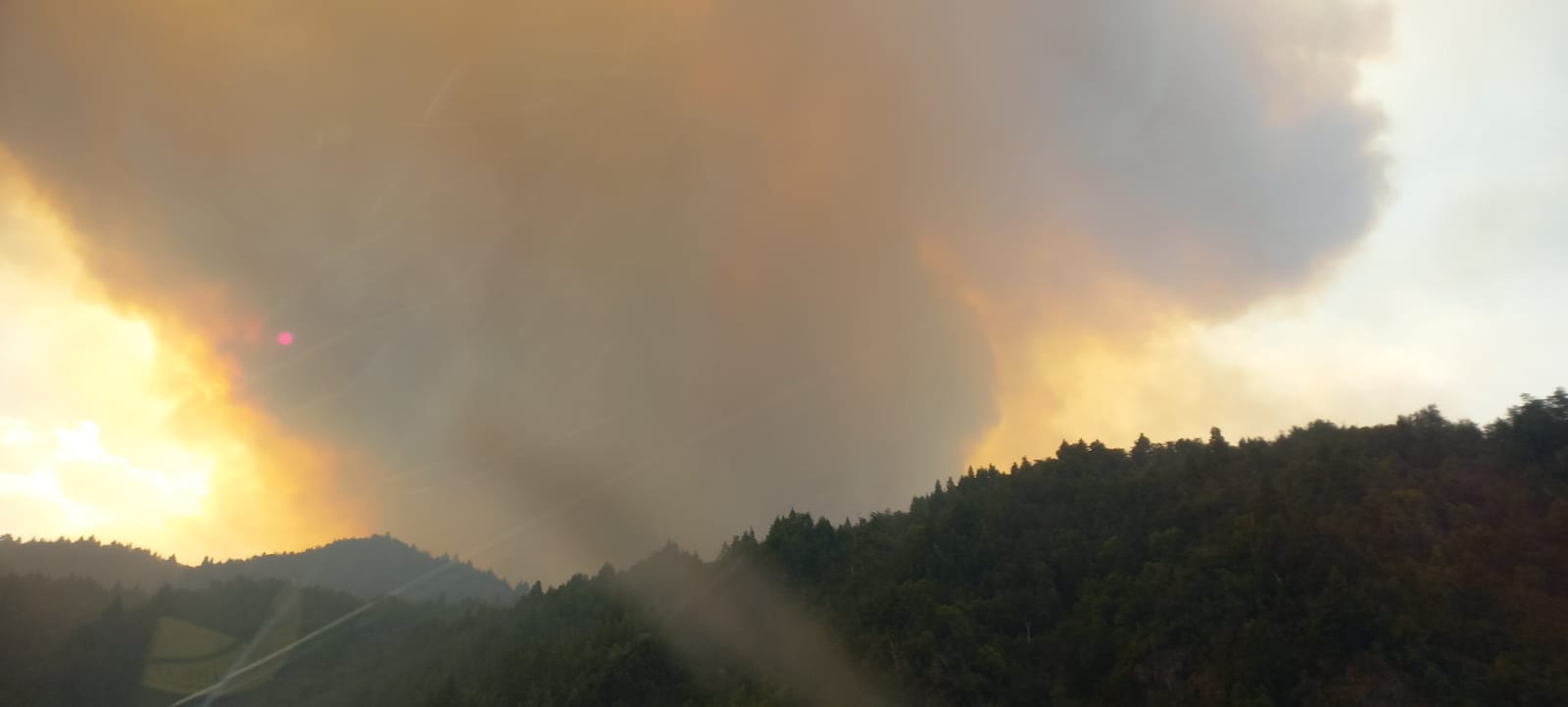 Incendio Forestal: La lluvia anoche detuvo el avance del fuego en El Manso y Villegas