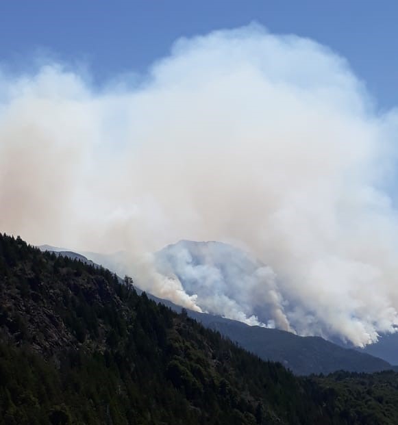 Incendio forestal; Reporte de la situación sobre el incendio en el Lago Martín