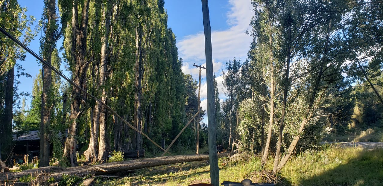 El Bolsón:El viento provocó la caída de árboles dejando sin luz buena parte de la población
