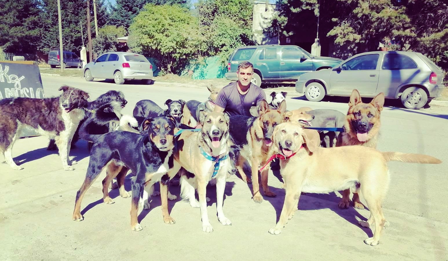 El Bolsón: El paseador de perros que vive en la cordillera