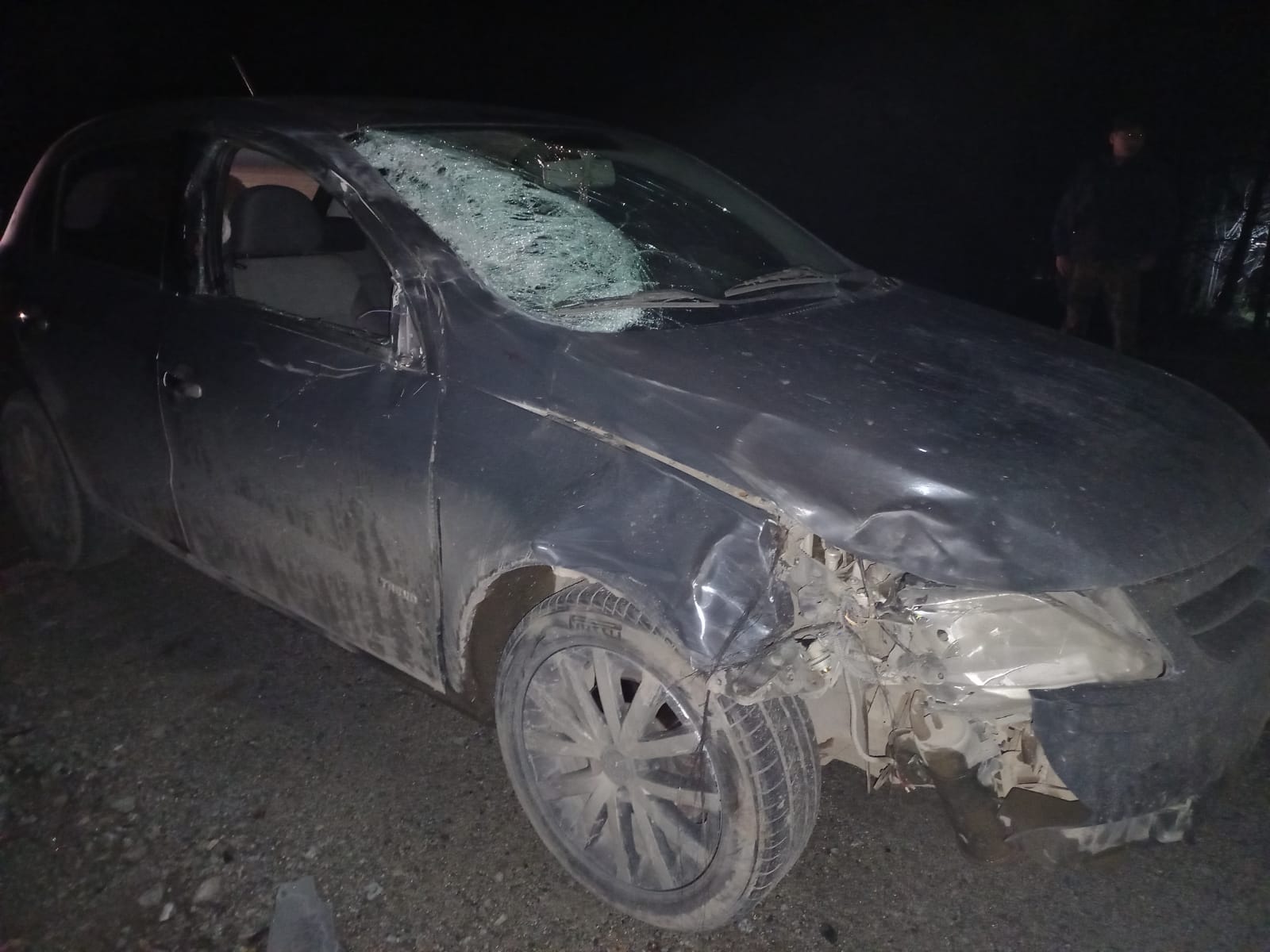 Chubut: Un automóvil arrolló un equino suelto en la ruta N40 en Las Golondrinas