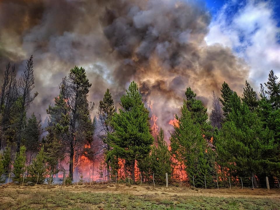 Prisión en suspenso y tareas comunitarias para los autores del incendio forestal de Cuesta del Ternero en 2021