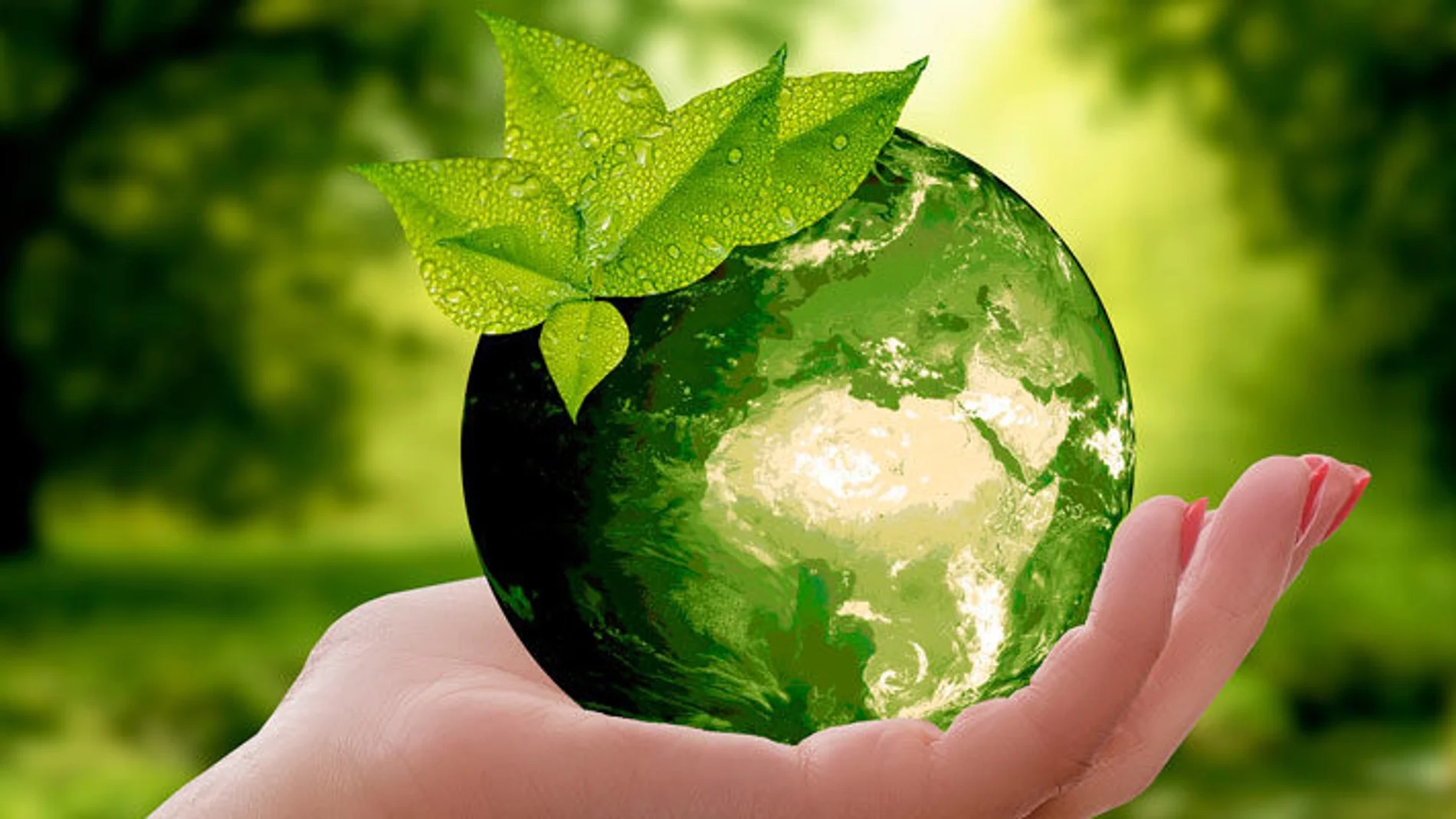 5 de Junio Día Mundial del Medio Ambiente centrado en el lema «Una Sola Tierra»