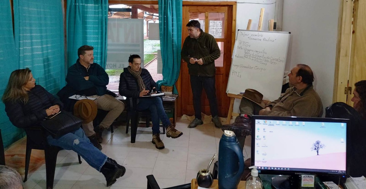 Comarca Andina: Emprendedores de la región producen sus propios  vinos