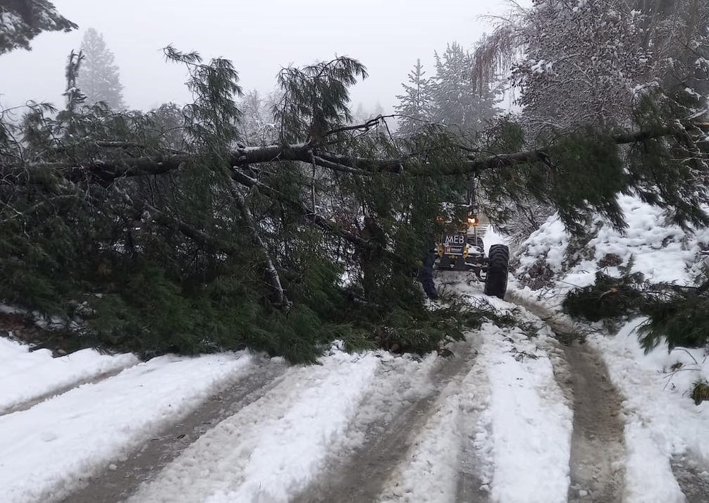 El Bolsón: Coopetel y los cortes de servicios por la intensa nevada