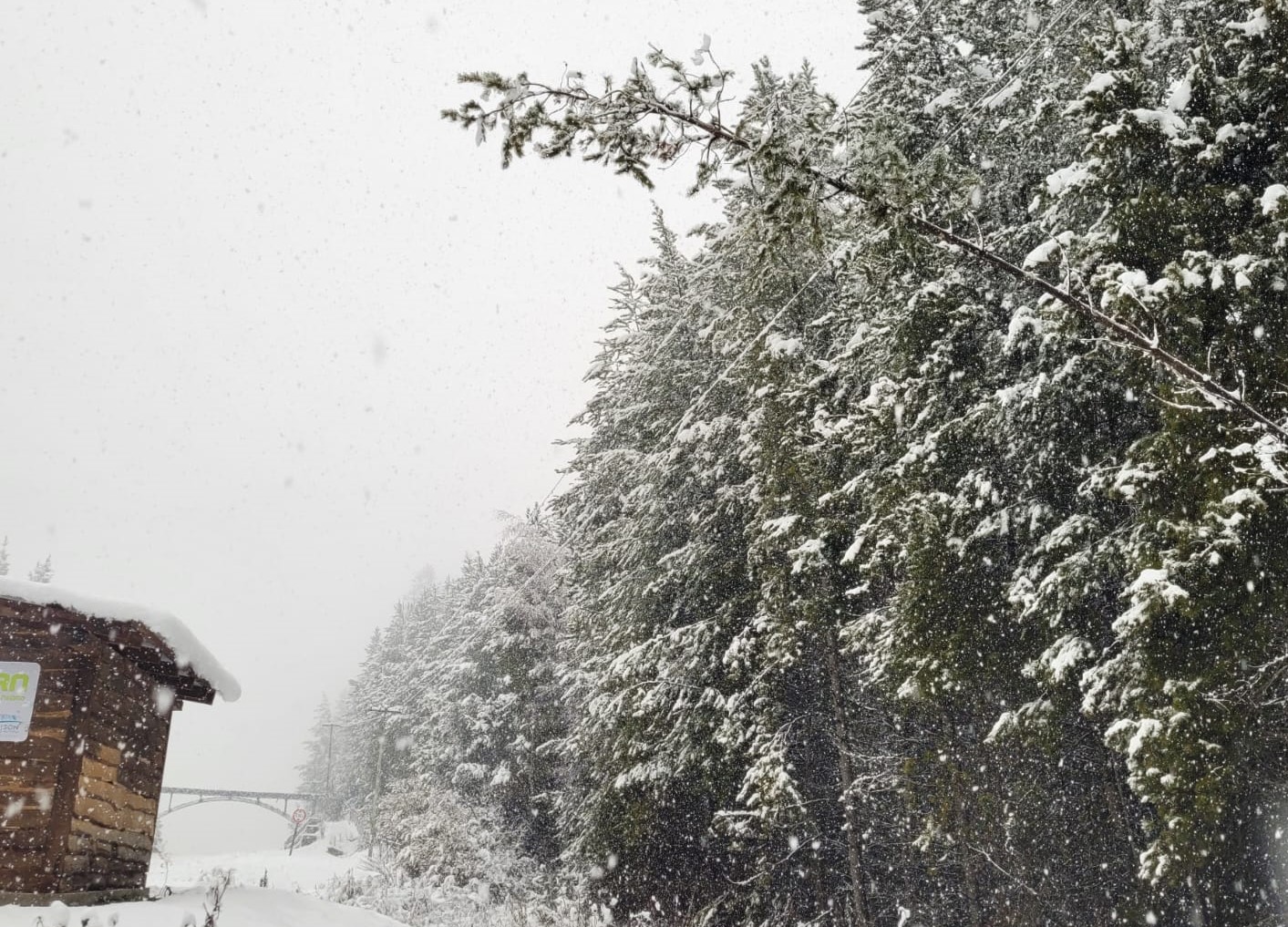 El Bolsón: El temporal de nieve generó cortes de energía eléctrica por varias horas
