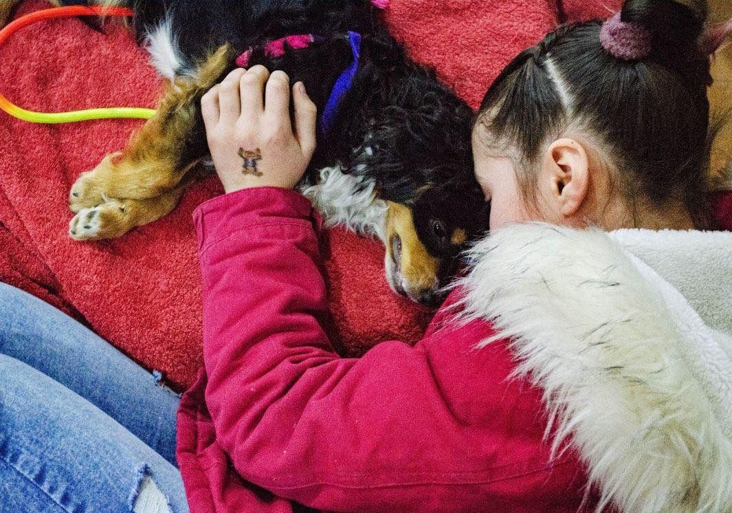 Continúa en El Bolsón el programa municipal “Cuidemos a Nuestras Mascotas”