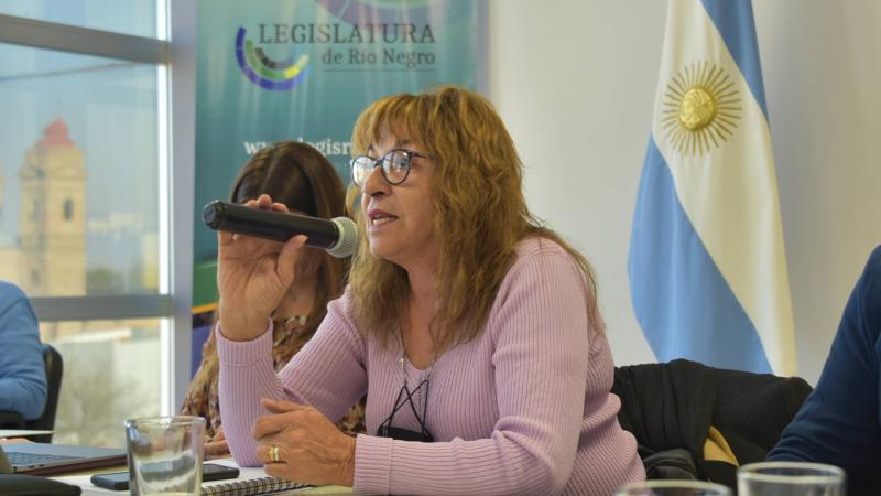 La legislatura rionegrina avala la creación de una oficina para facilitar reclamos e inquietudes