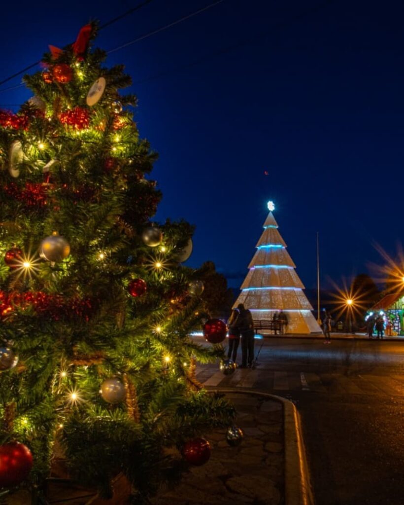 Bariloche: Multitudinario acto del comienzo de Navidad con el encendido del árbol gigante