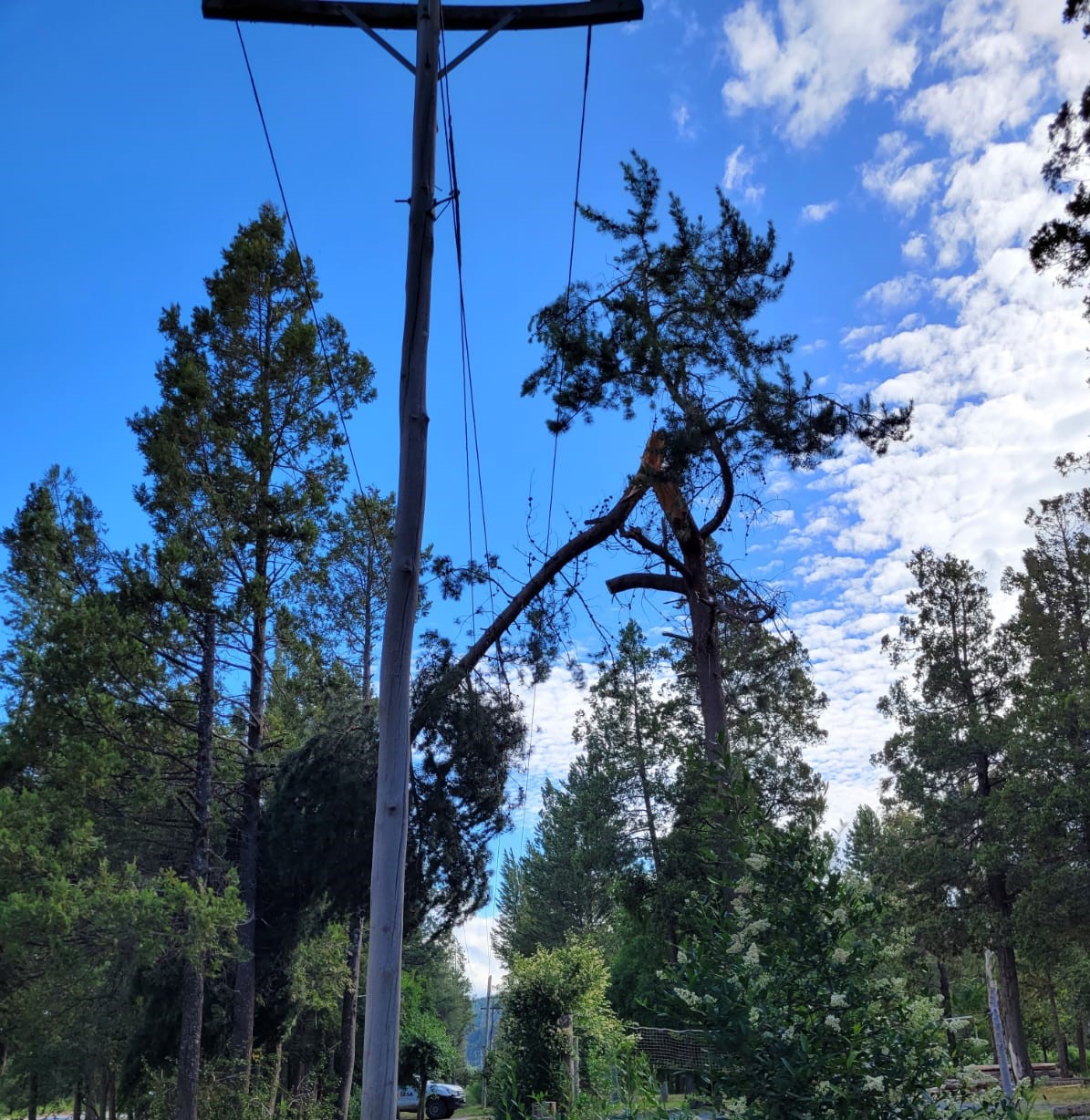 PANORAMA ELÉCTRICO EN EL BOLSON POR EL TEMPORAL DE VIENTO