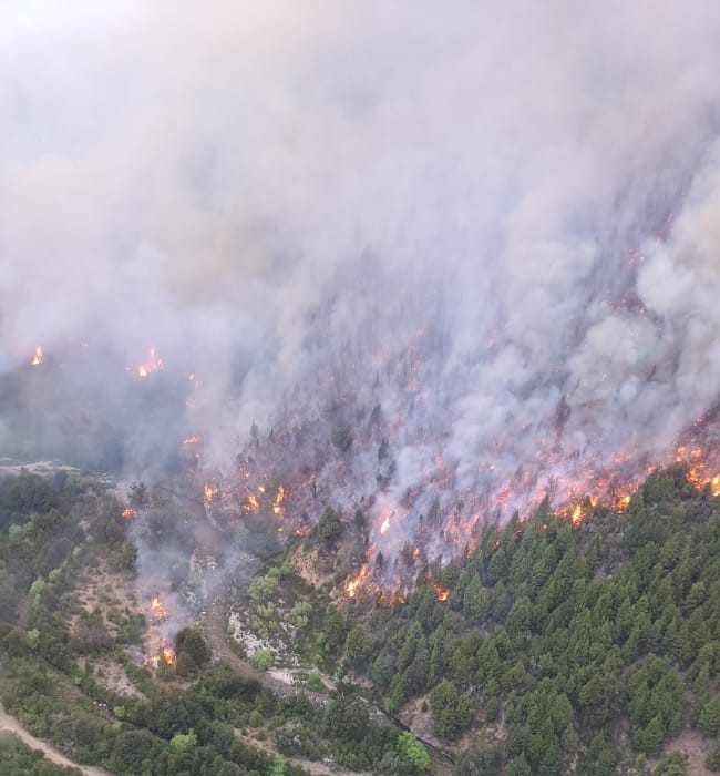 El Bolsón: Incendios forestales en El Foyel y Cuesta del Ternero