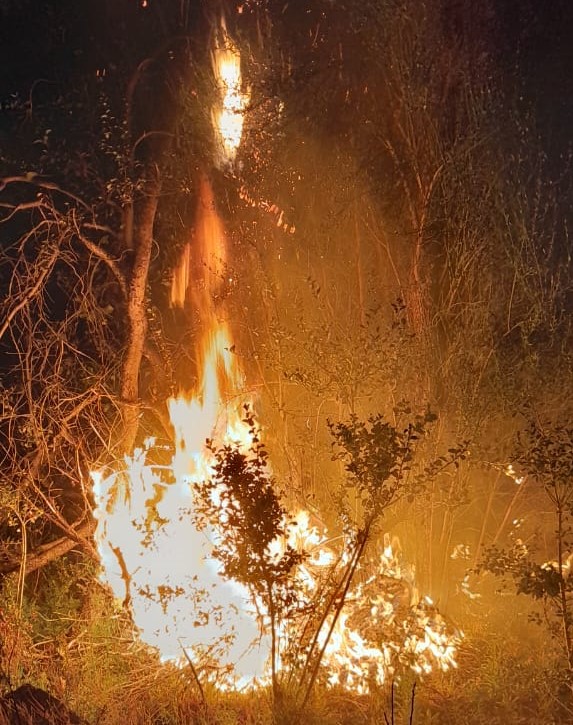 El Bolsón: El SPLIF  trabaja en un incendio en la Cuesta del Ternero