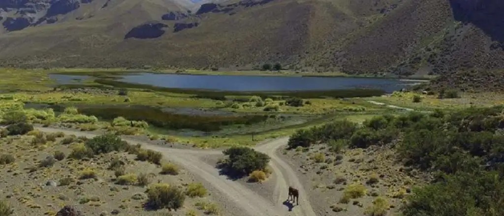 Mendoza: Víctimas de ataques mapuches de Villa Mascardi en el caravanazo de Malargüe