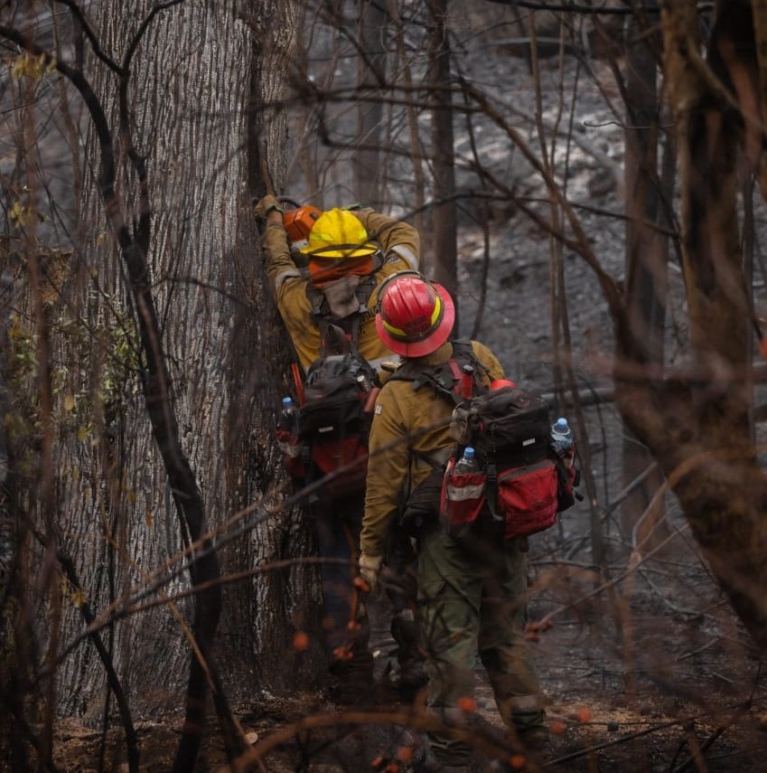 El Bolsón: Dan por contenido el incendio de Cascada Escondida