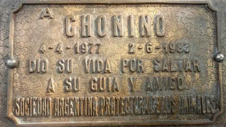 2 de junio en Argentina: Día Nacional del Perro en homenaje a Chonino