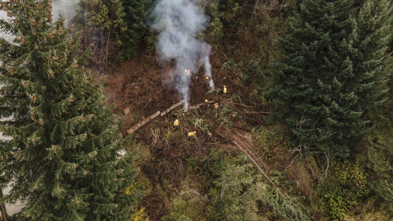 SPLIF: Campaña de Prevención de Incendios y cuidado del bosque