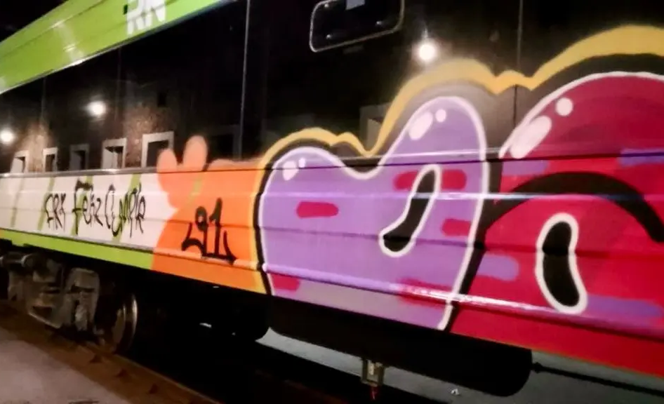 Paralizaron el servicio del Tren Patagónico por actos de vandalismo