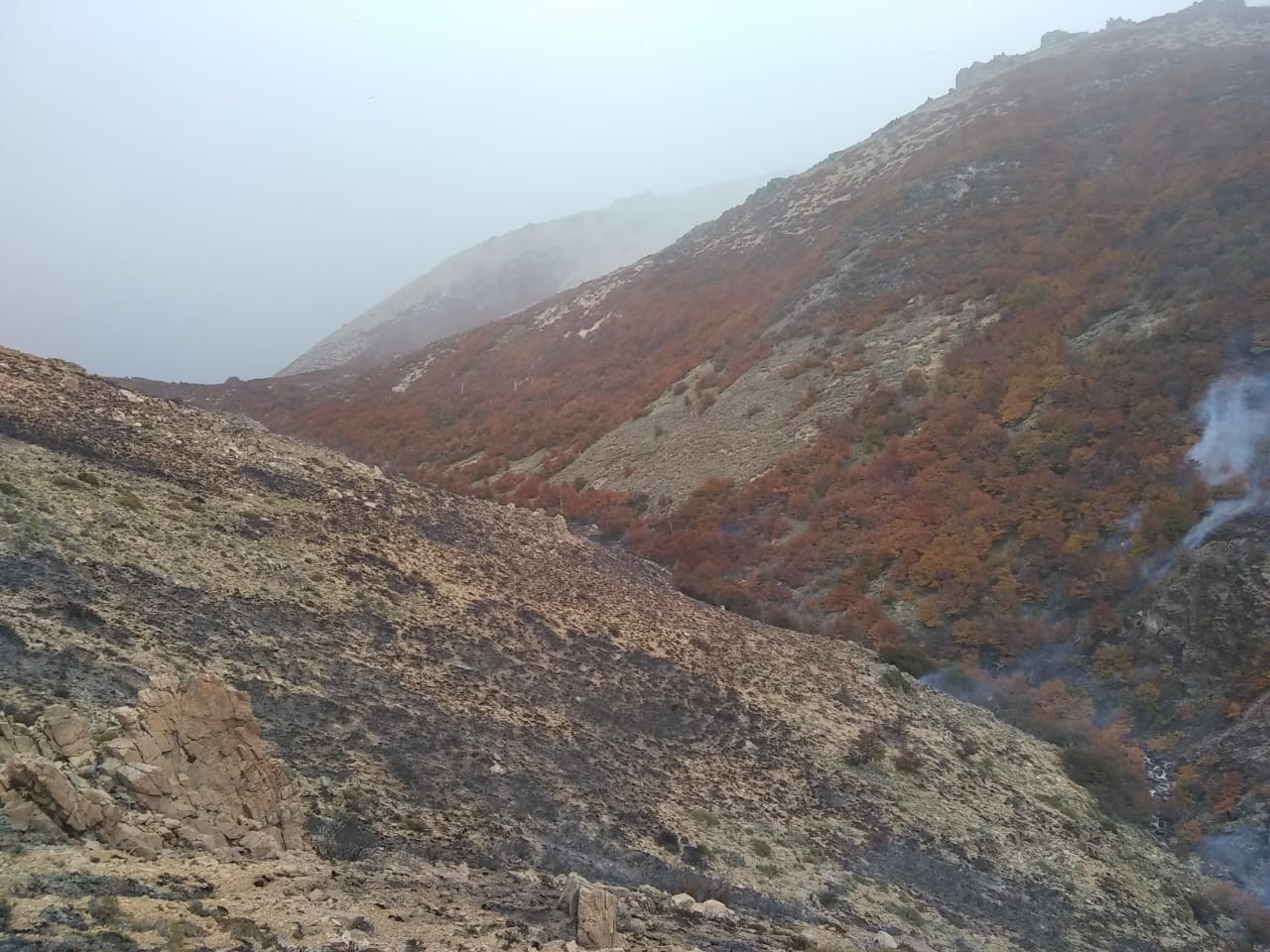 Dos hectáreas consumidas por el fuego en Cuesta del Ternero debido a la negligencia humana