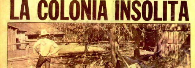 Hippies en El Bolsón b